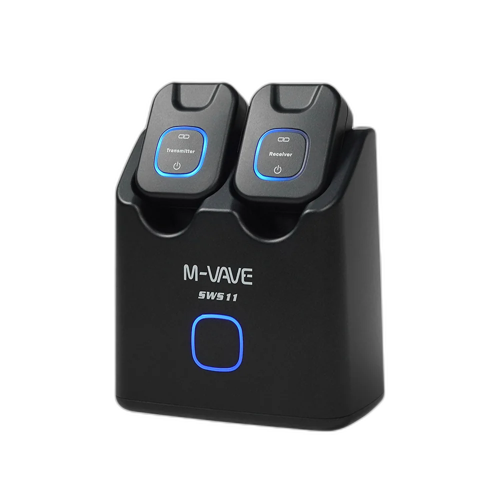 SWS11 Wireless System